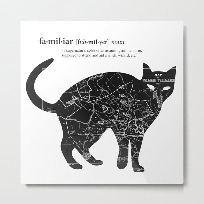 A Familiar Black Cat Metal Print