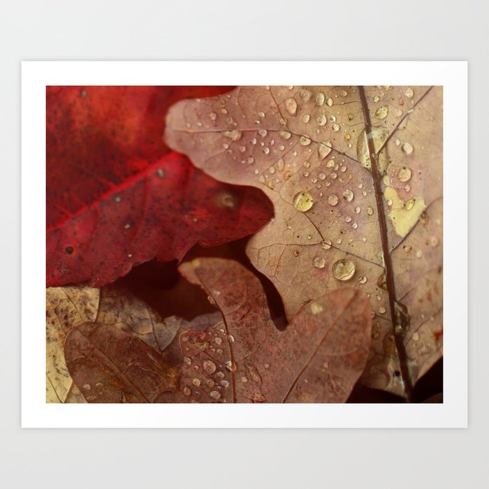 Autumn Rain Art Print