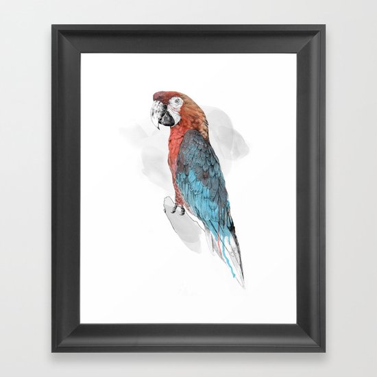 Cuban Macaw Framed Art Print