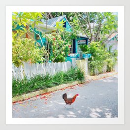 Chicken Crossing Art Print