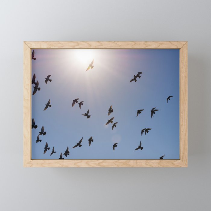 Flock of birds flying against blue sky and bright sun Framed Mini Art Print