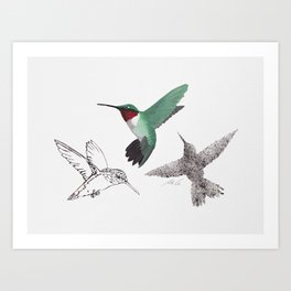 Three Hummingbirds_Green_01 Art Print