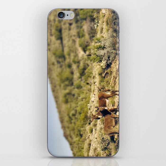 Burro Creek Wilderness iPhone Skin