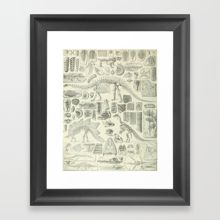 Fossil Chart Framed Art Print