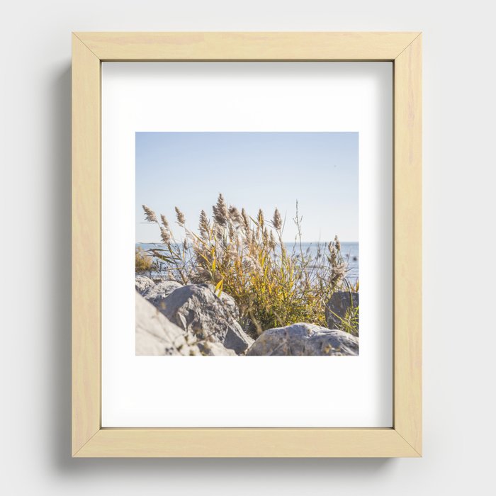 Seaside Plants Recessed Framed Print