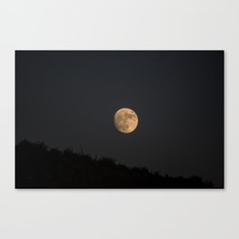 Country Moon Canvas Print