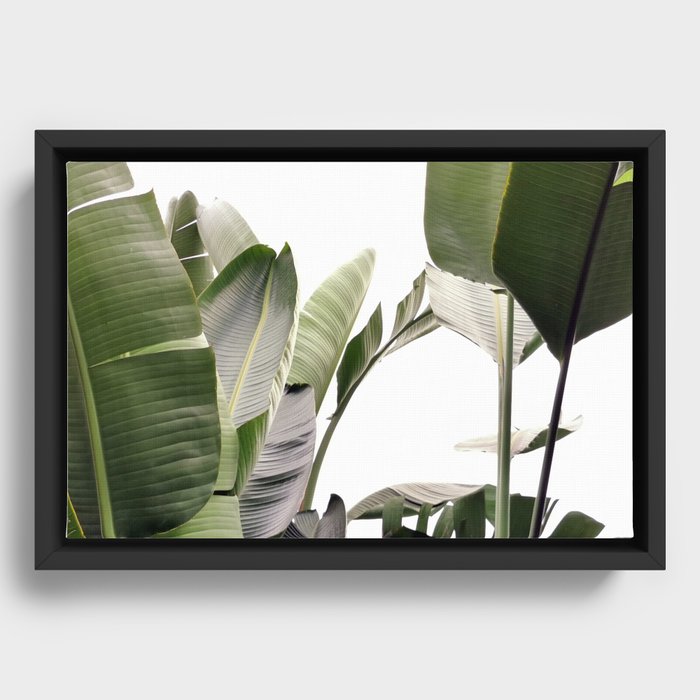 Traveller's Palm Leaves Photo 01 Framed Canvas