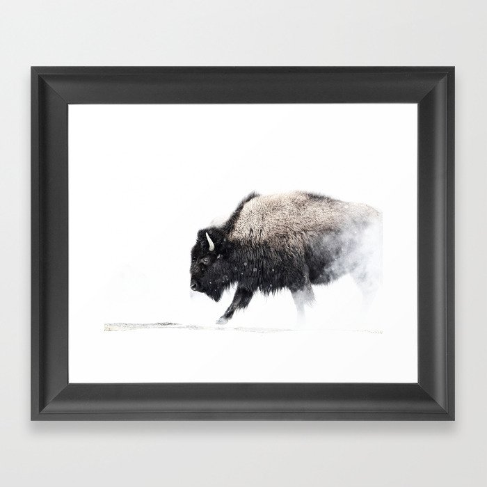 Prancing Buffalo Framed Art Print