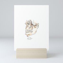 Skull with Trigeminal nerve Mini Art Print