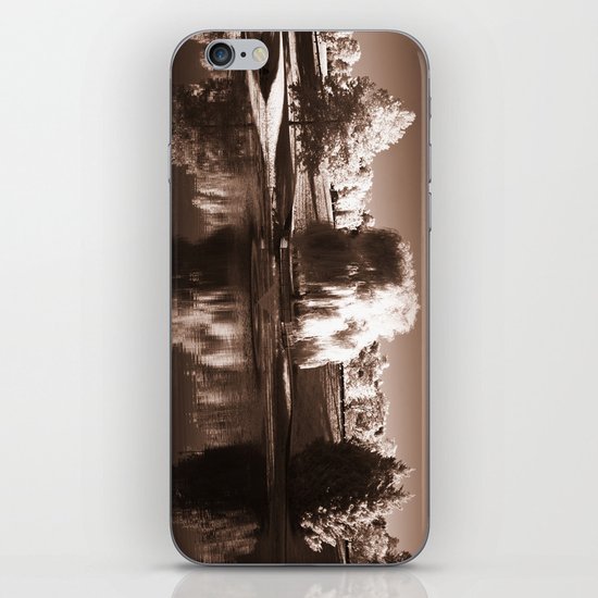 Nature's Court iPhone & iPod Skin