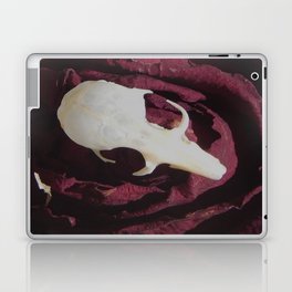 Rodent Skull Laptop & iPad Skin