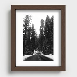 Sequoia Snow Recessed Framed Print