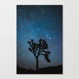 Joshua Tree Night Sky Astrophotography Canvas Print