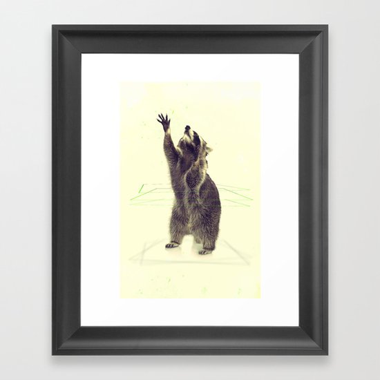 Coon Framed Art Print