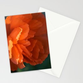 Double poppy by Teresa Thompson Stationery Cards
