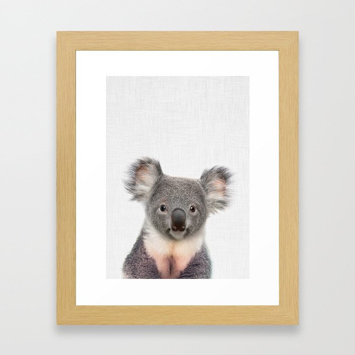 Koala Framed Art Print