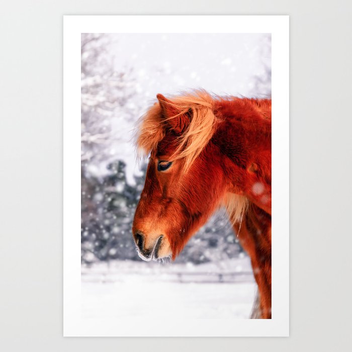 Chestnut Horse in The Snow Art Print