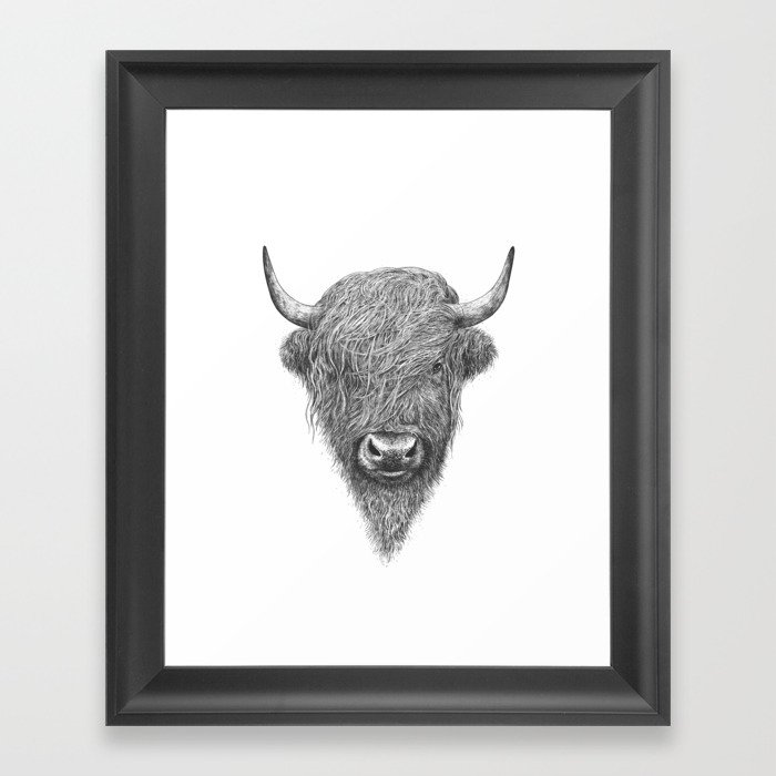 Highland bull Framed Art Print