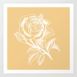 Cream Rose White Rose Flower Art Print