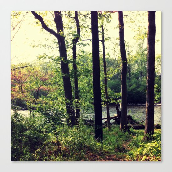 Nature 2 Canvas Print