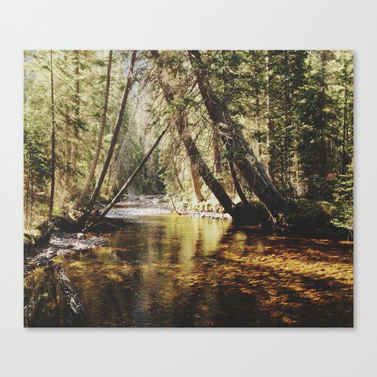 East Inlet Creek Canvas Print