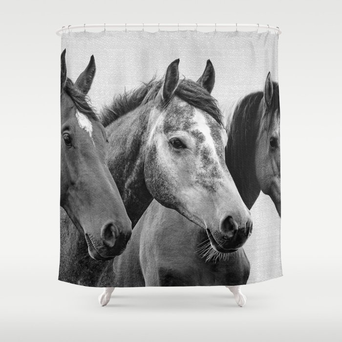 Horses - Black & White 3 Shower Curtain