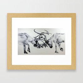 Caribou Framed Art Print