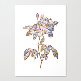 Floral Variegated French Rosebush Mosaic on White Canvas Print
