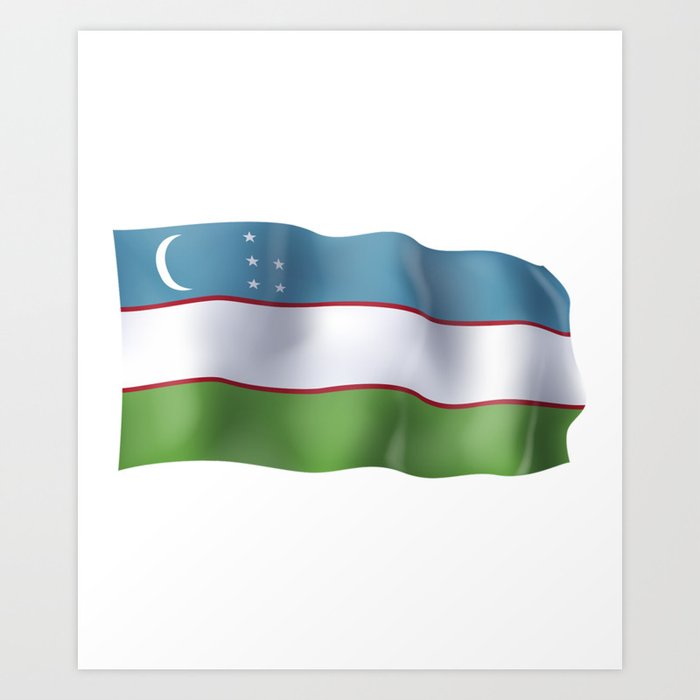 Uzbekistan flag Art Print