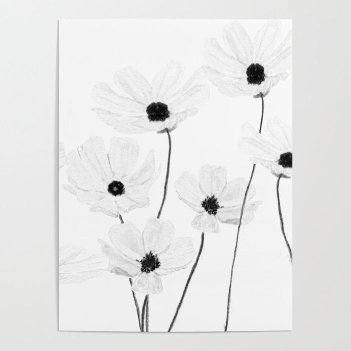 black and white cosmos Poster