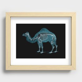 Camel X-ray - Camel Print - Camel Wall Art - Animal X-ray Recessed Framed Print