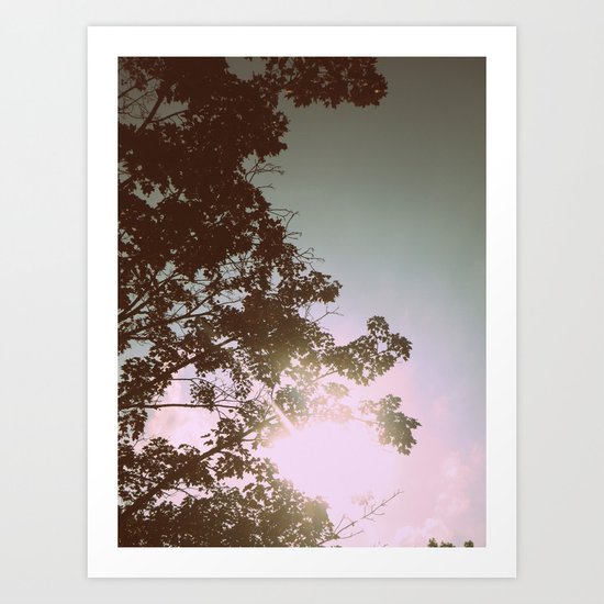 Sun Burned Leaves Art Print