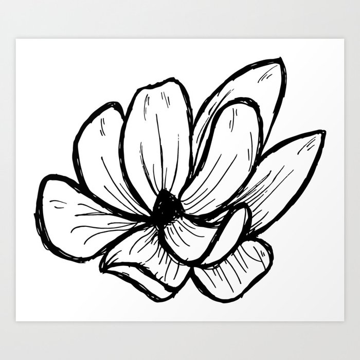 Magnolia Modern Floral Line Art Drawing Art Print
