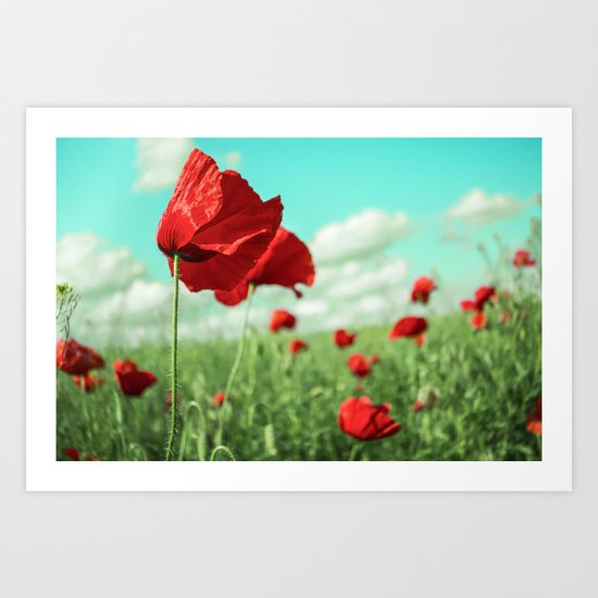 Poppy Art Print