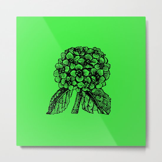 Green Hydrangea Metal Print