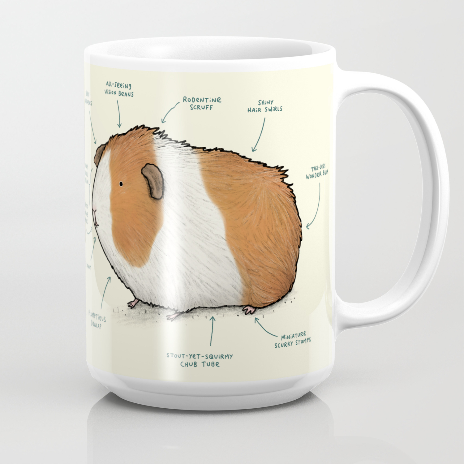 Anatomy Of A Guinea Pig Coffee Mug By Sophiecorrigan Society6,Floating Subfloor Basement