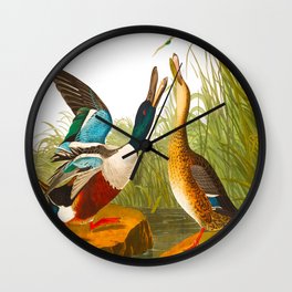 Shoveller Duck Wall Clock