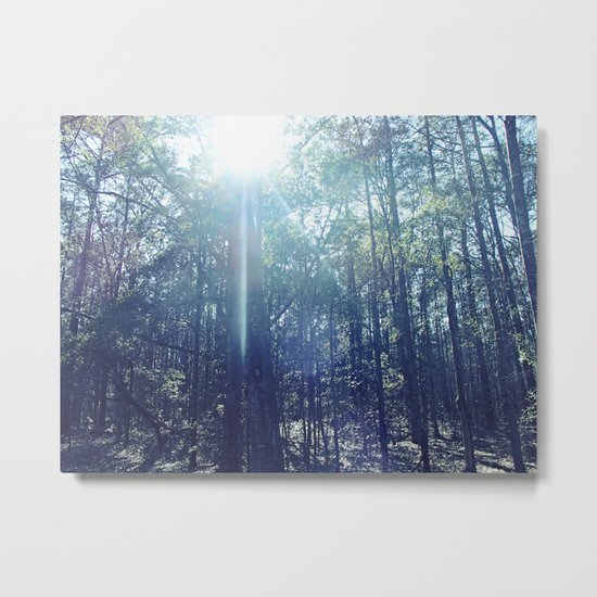 In the Light Metal Print