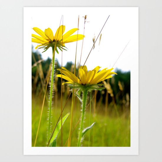 Spring Flower Art Print