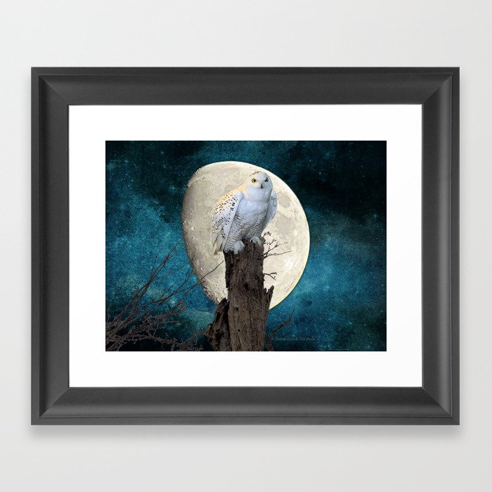 White Snowy Owl Bird Moon Blue A141 Framed Art Print