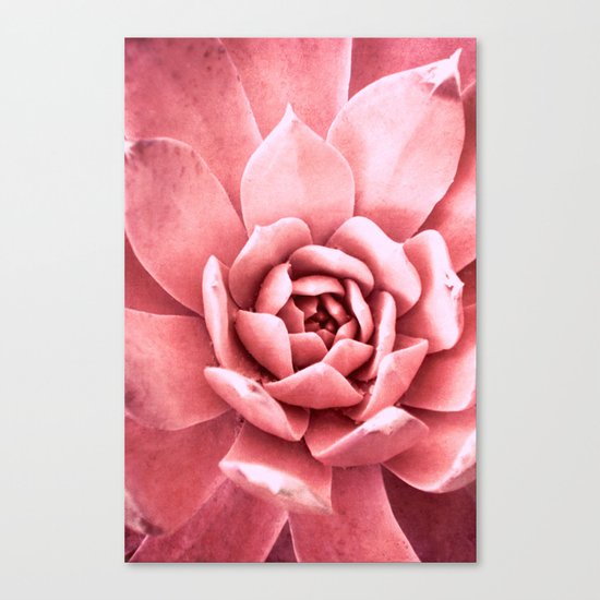 anima Canvas Print