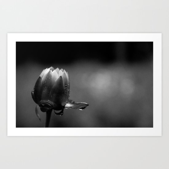 Flower 2 Art Print