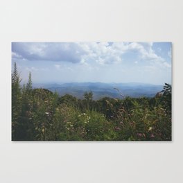 Blue Ridge Mountains & Flowers  Canvas Print