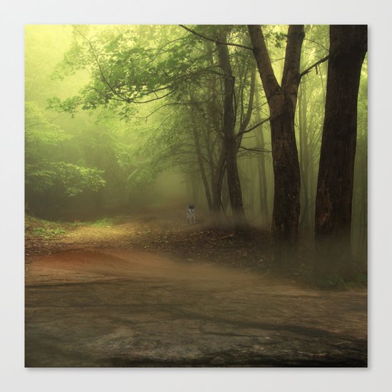 Mystical Forest (3) Canvas Print