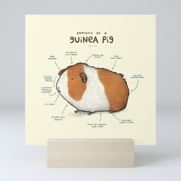 Anatomy of a Guinea Pig Mini Art Print