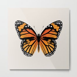 Monarch Butterfly | Vintage Butterfly | Metal Print | Migration, Nature, Orangeandblack, Monarchbutterflies, Transformation, Butterfly, Gardeninsects, Wildlife, Metamorphosis, Graphicdesign 
