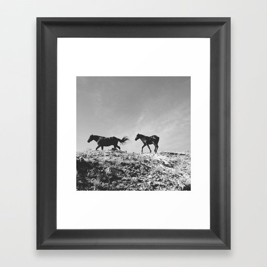 Pryor Mountain Wild Mustangs Framed Art Print