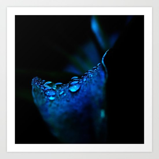 flower blue lily Art Print
