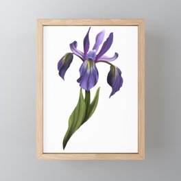 Iris Framed Mini Art Print