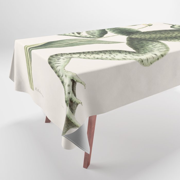 Bull Frog Tablecloth